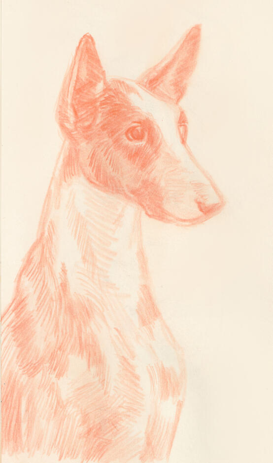 Untitled Untitled