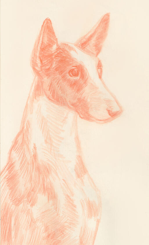 Untitled Untitled